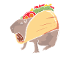 Capybara tacobara rodent capybara wild animal