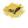 Fledermaus