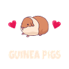 GUINEA PIG: Love Guinea Pigs