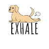 Labrador yoga exercise
