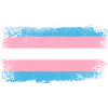 Transkønnede flag