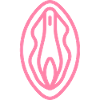 Sexe féminin vagin rose