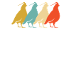 Rétro Quail Design