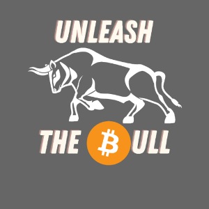 Bitcoin BTC Krypto Trading HODL Unleash the Bull