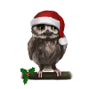 Christmas eagle owl - Bored