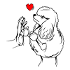 Pudel