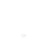 Brain