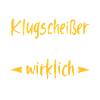 Besserwisser Klugscheißer Sprüche Spruch lustig