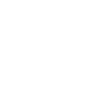Ultrasonic
