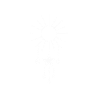 Sun, moon and stars