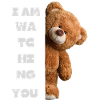 Teddybär - ich beobachte dich