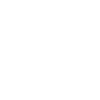 Ski coach
