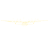 C-130 Hercules