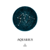 Zodiac Astro Aquarius