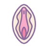 Pink vagina female sex
