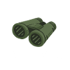 Bird Watching Birdwatchers