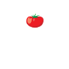 Planter des tomates - humour cadeau