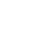 Developer