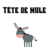 Tête de mule ! 🐴🐎