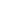 Border Collie «Black Edition»