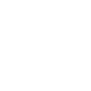 Animal skull
