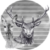 Deer and doe