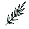 Twig