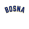 Bosnia