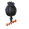 Poppy