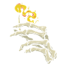 Bone hand with a match