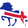 Icelandic horse flag