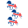 Icelandic horse flag