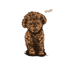 Wuff Welpe