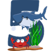 Requin Sous-marin 5 anniversaire