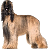 Afghane