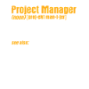 Project manager
