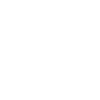 Roller coaster