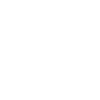 Wild Wolf Geometric