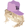 Cool toad