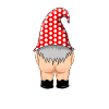 Moonie Gnome