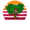 Treehouse sunset