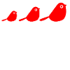 Des oiseaux