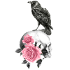Skull with roses and raven