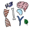 biology
