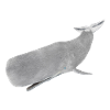 Sperm whale, whale, whale