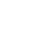 flute