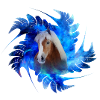Haflinger Ibiza