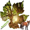 Forêt 48 avec renard