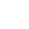 Violin fiddle