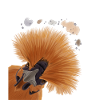 Neugieriges Seidenhuhn
